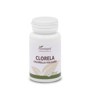 CLORELA CHILORELLA VULGARIS